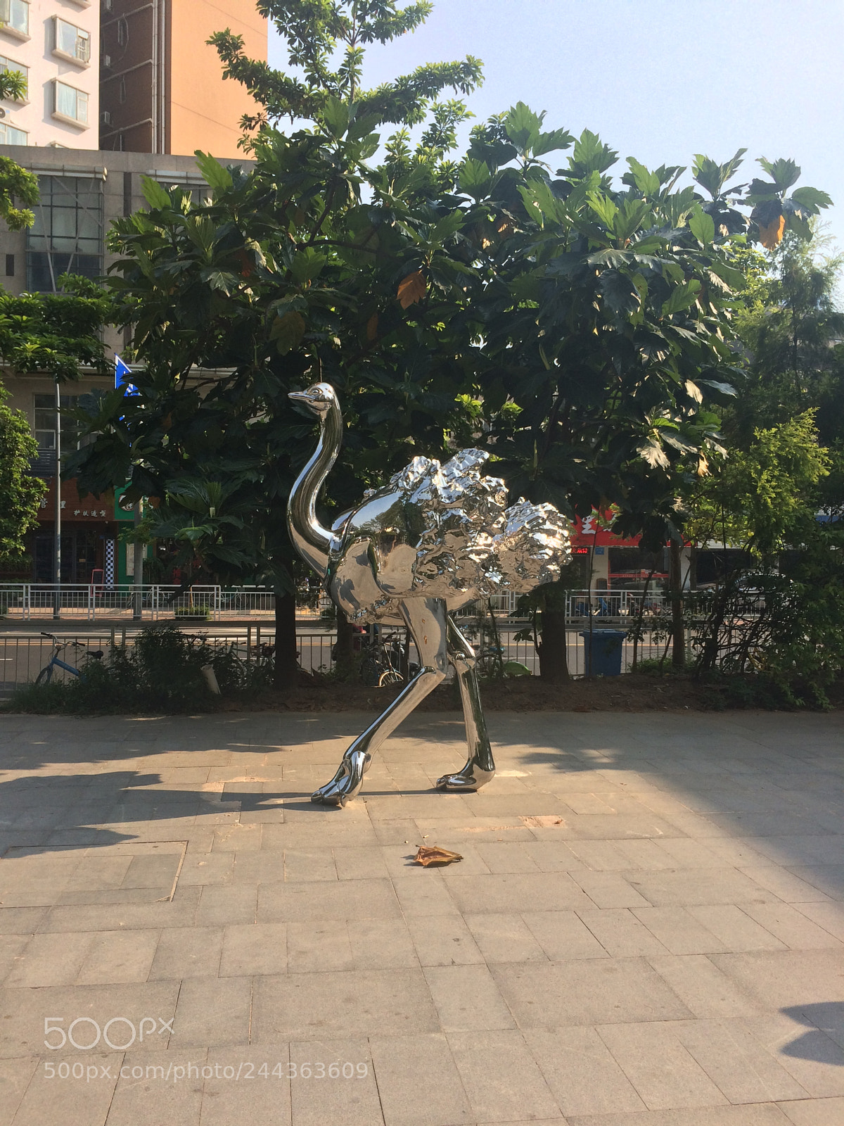 Apple iPhone 5s sample photo. Untitled photography