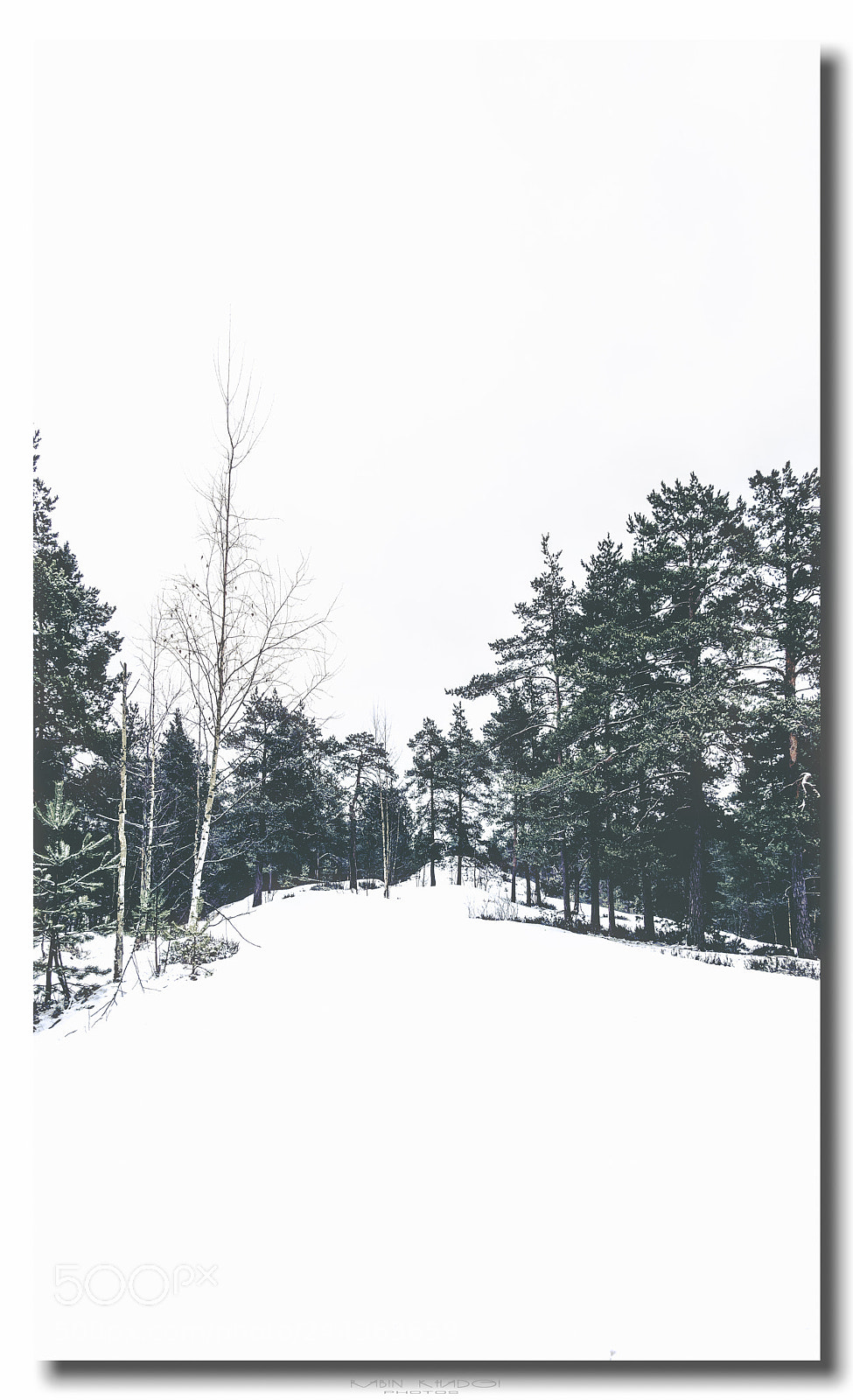 Panasonic Lumix DMC-GX8 sample photo. Wild nature photography