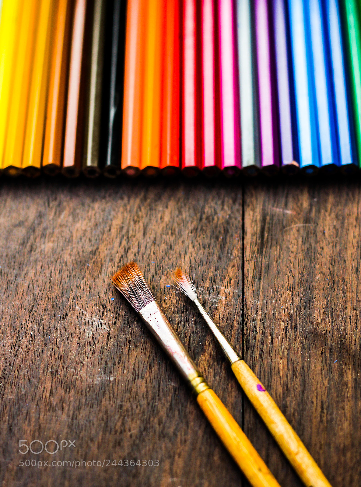 Canon EOS 60D sample photo. Brush photography