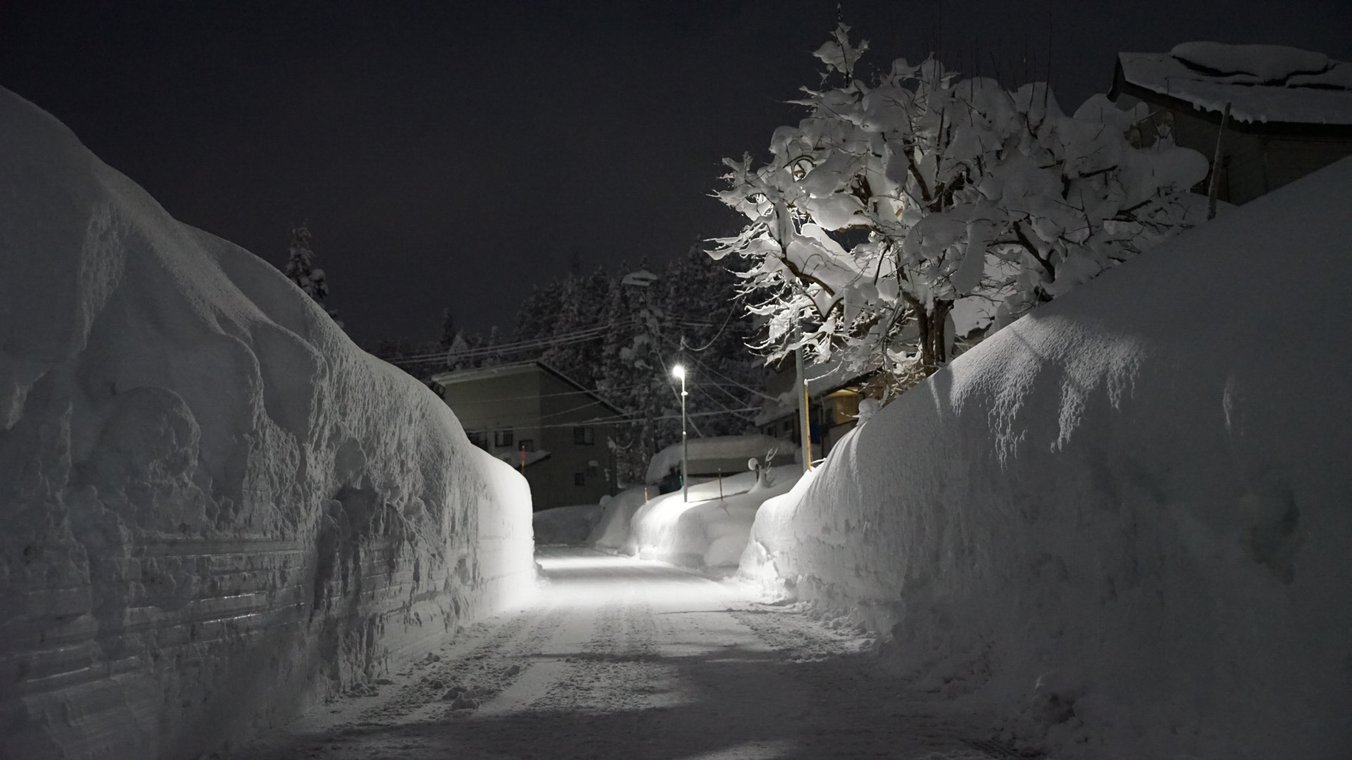 Sony a7 II + Canon EF 300mm F2.8L IS II USM sample photo. 雪夜道 photography