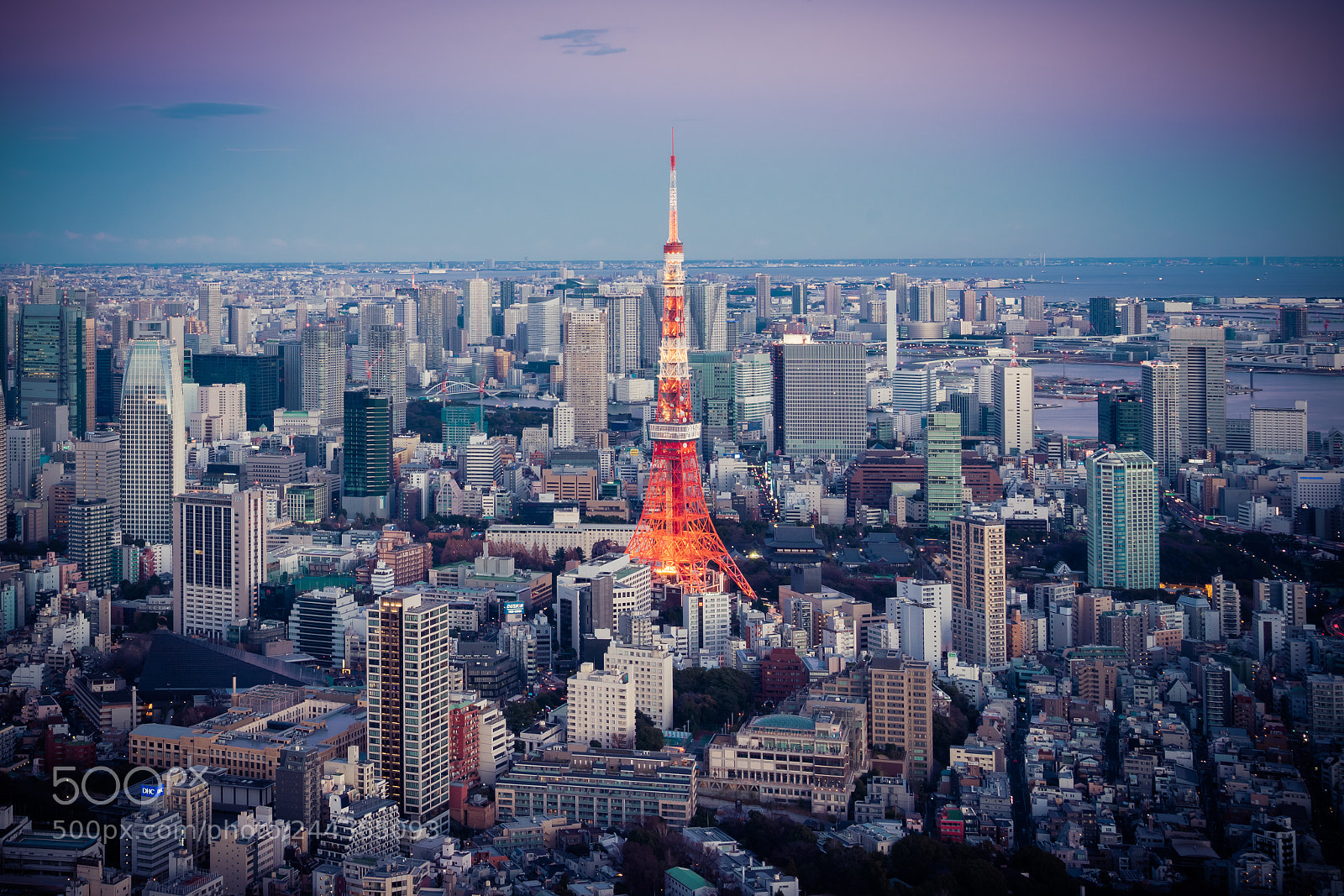 Sony a7R sample photo. Tokyo tower photography