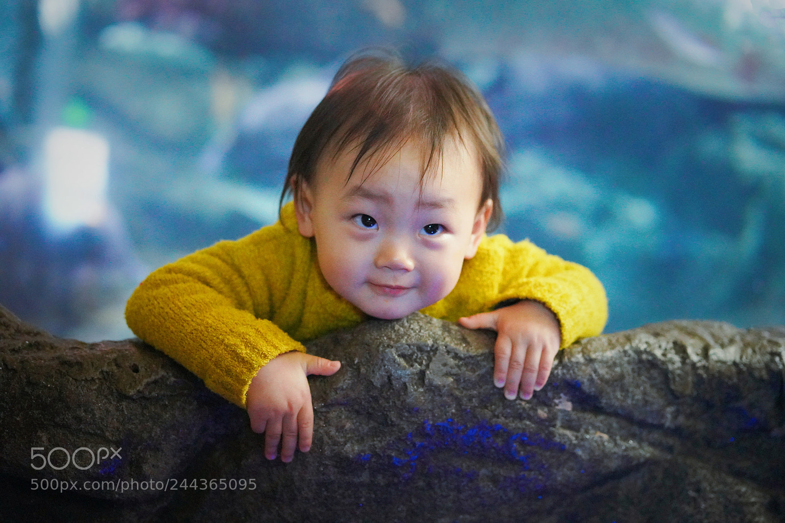 Sony a7R III sample photo. Untitled photography