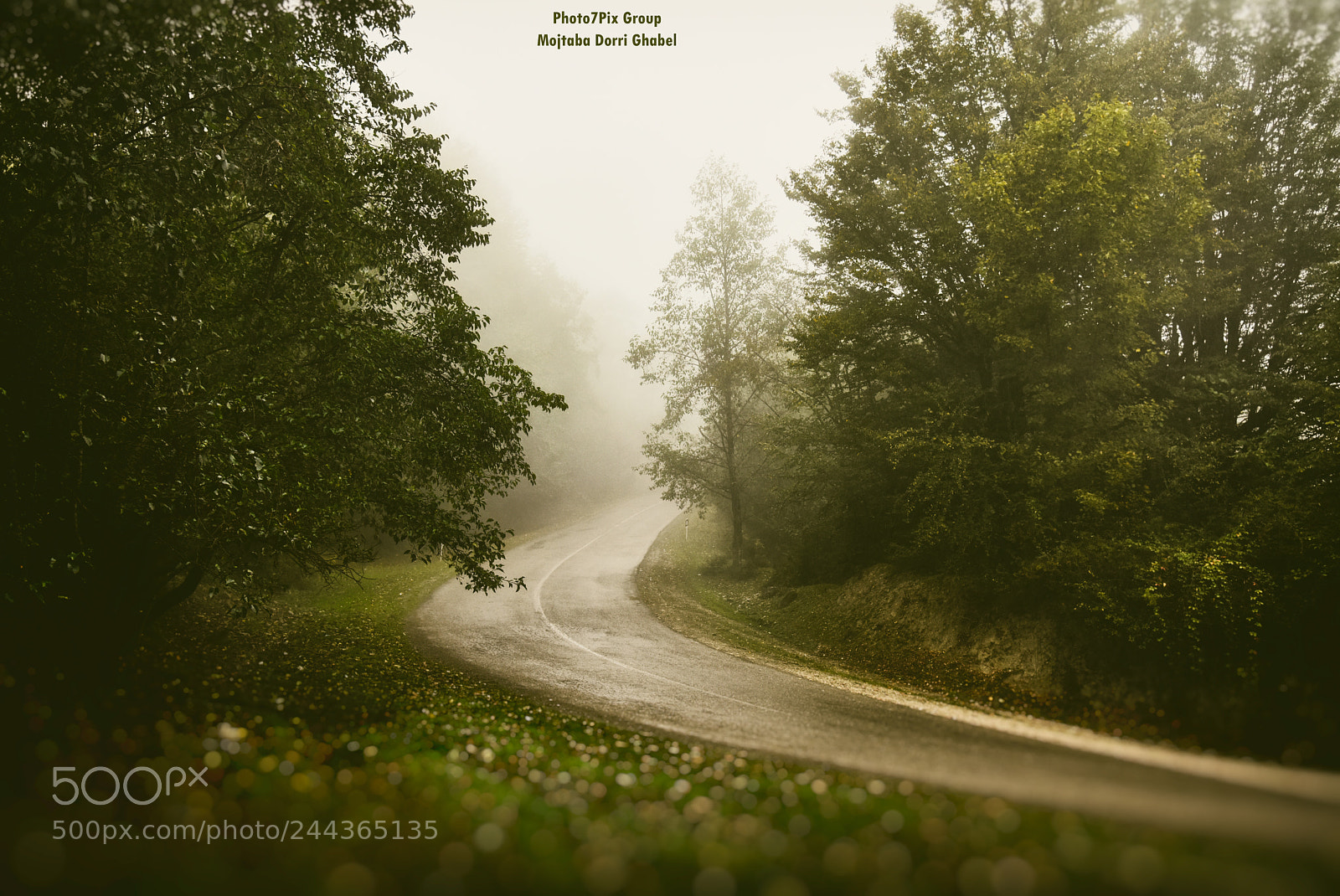 Nikon D810 sample photo. Destiny road 2 photography