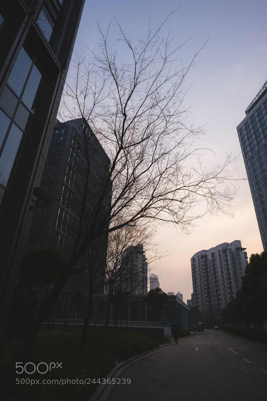 Sony a7R III sample photo. 20180129-074410_01980 photography