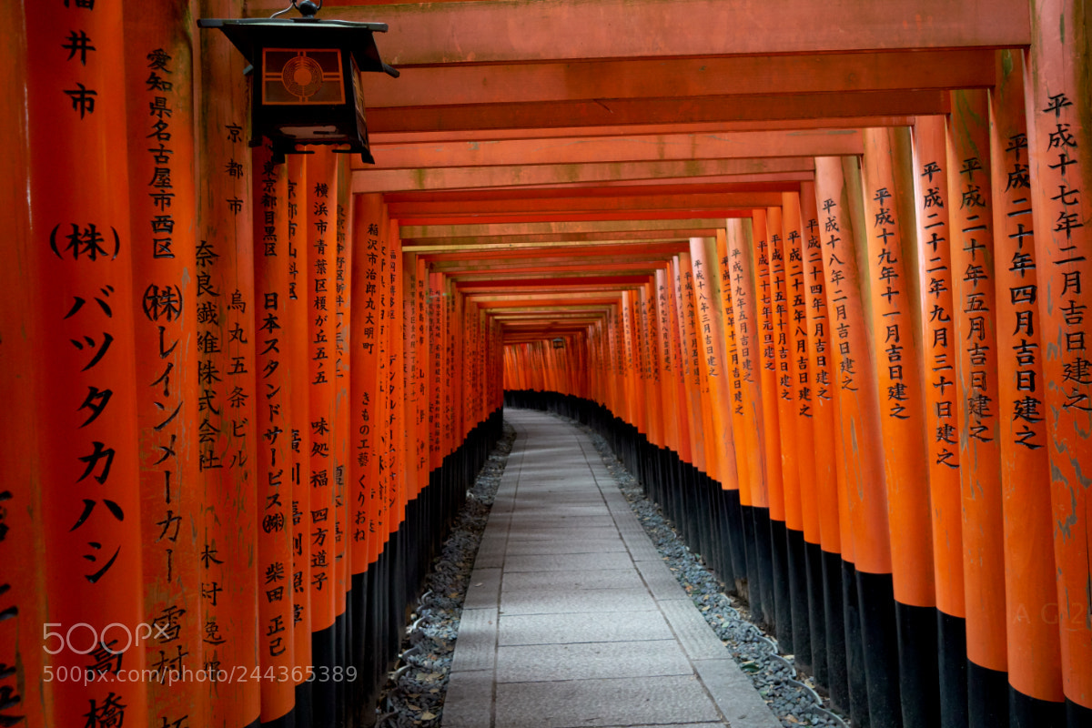 Sony a6500 sample photo. Fushimi inari-taisha shrine in photography