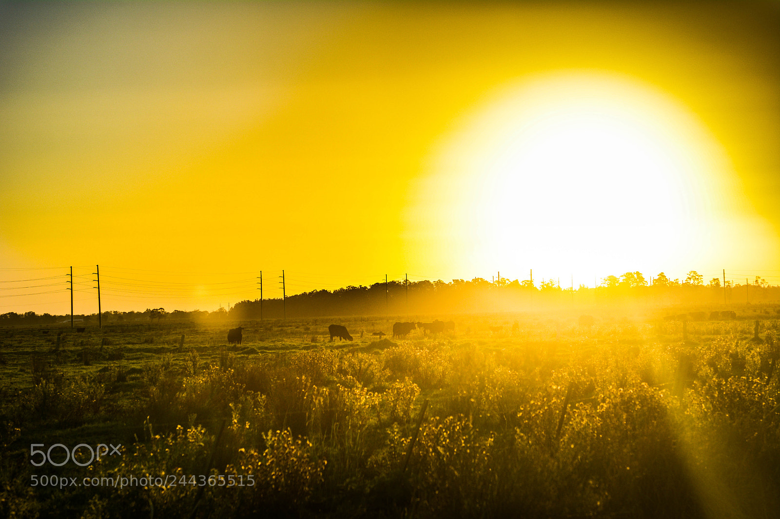 Nikon D7100 sample photo. Sundown photography