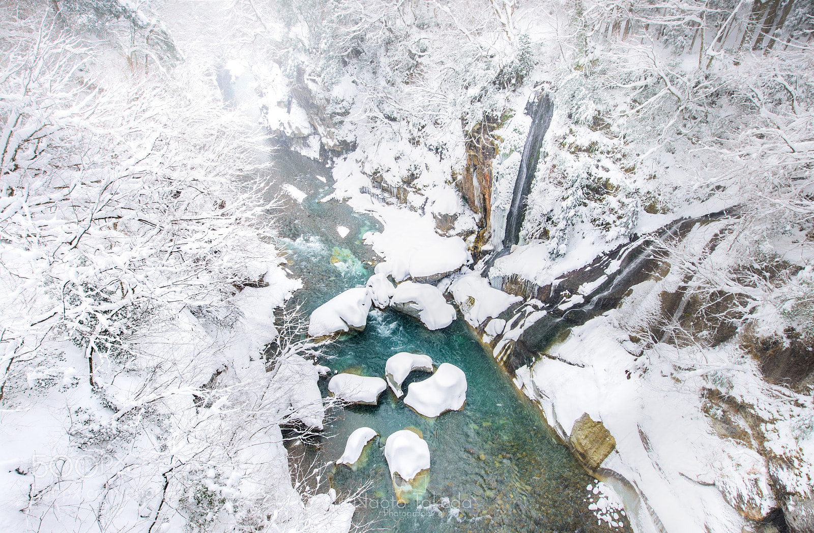 Nikon D800E sample photo. White fall photography