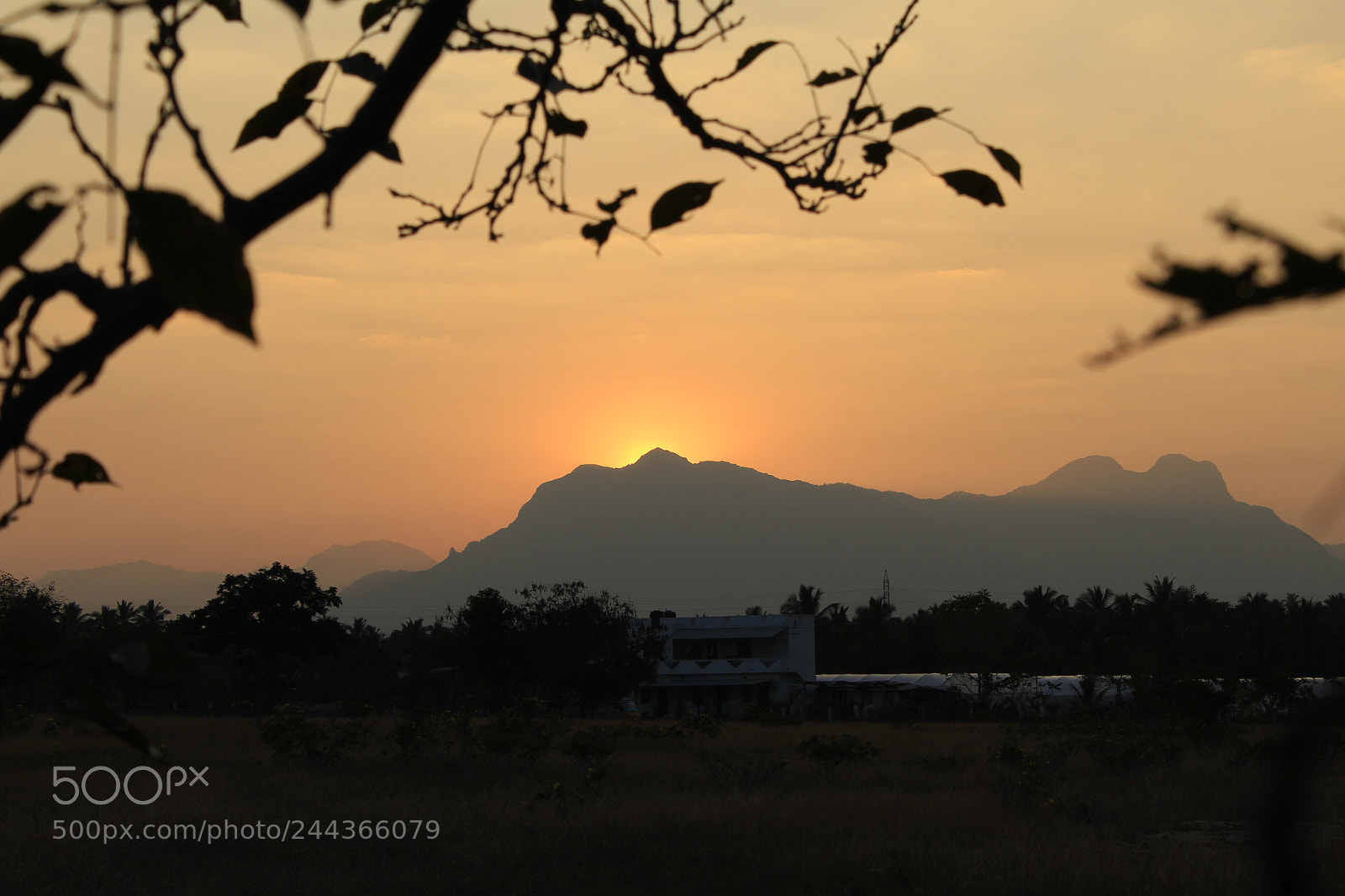 Canon EOS 1300D (EOS Rebel T6 / EOS Kiss X80) sample photo. Evening sunset!! photography