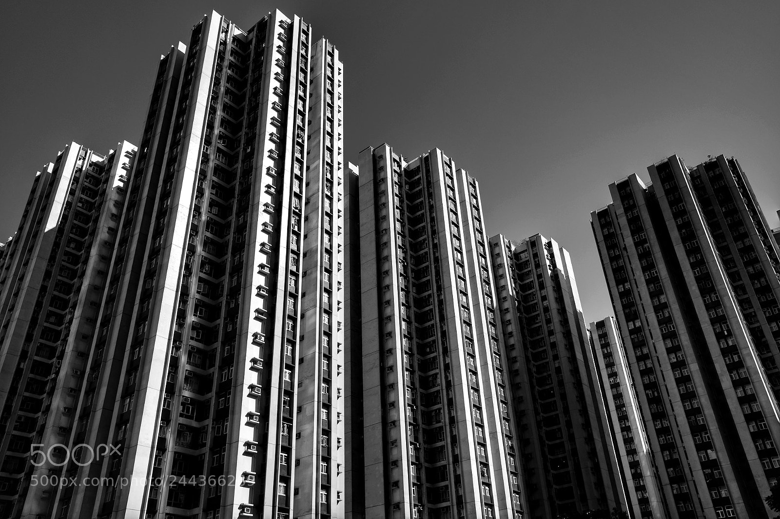Fujifilm X70 sample photo. Untitled photography