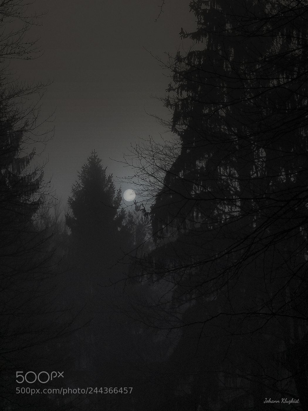 Fujifilm X10 sample photo. Sunrise in the fog photography