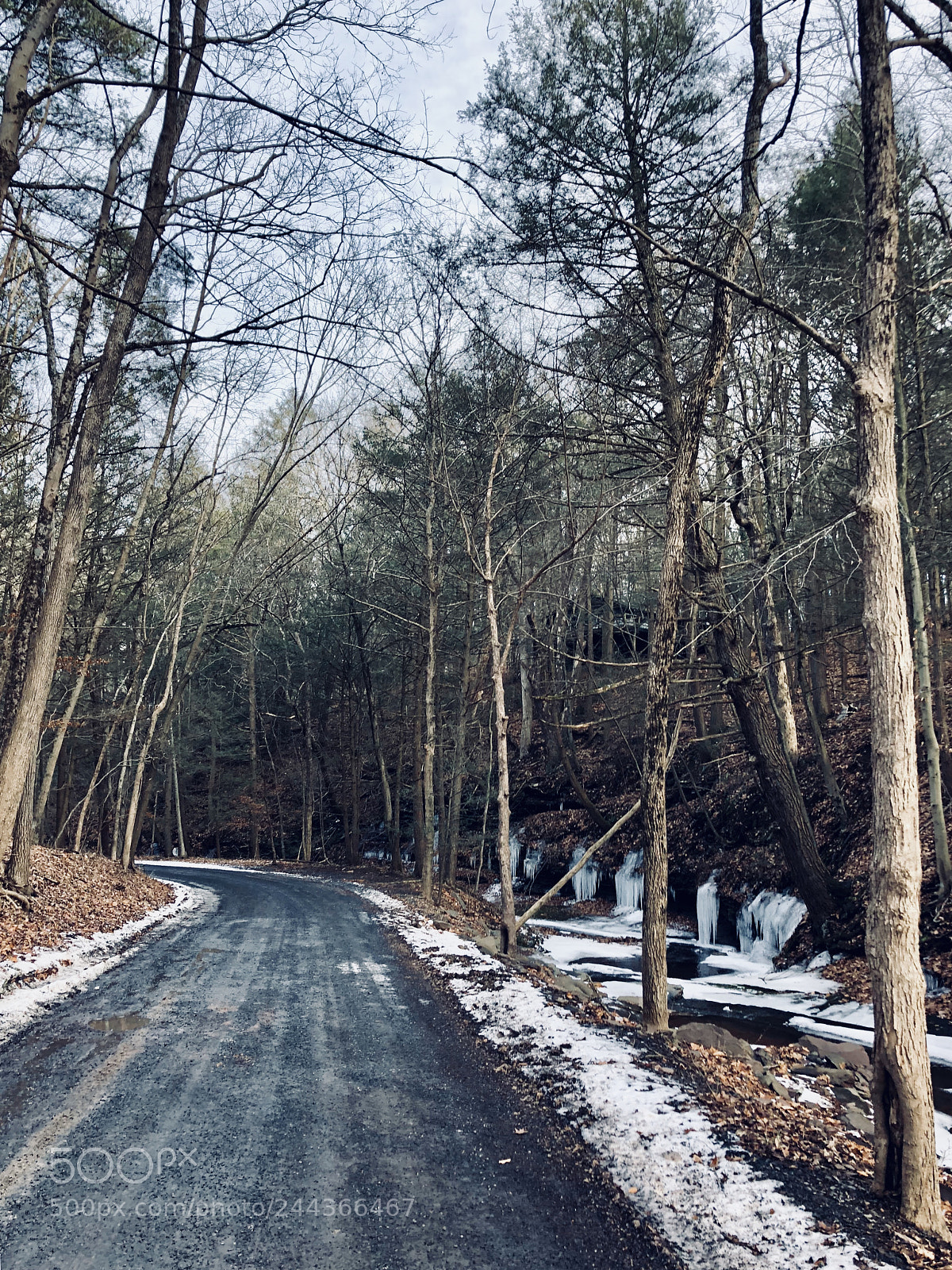 Apple iPhone 8 Plus sample photo. Bucks county back road photography