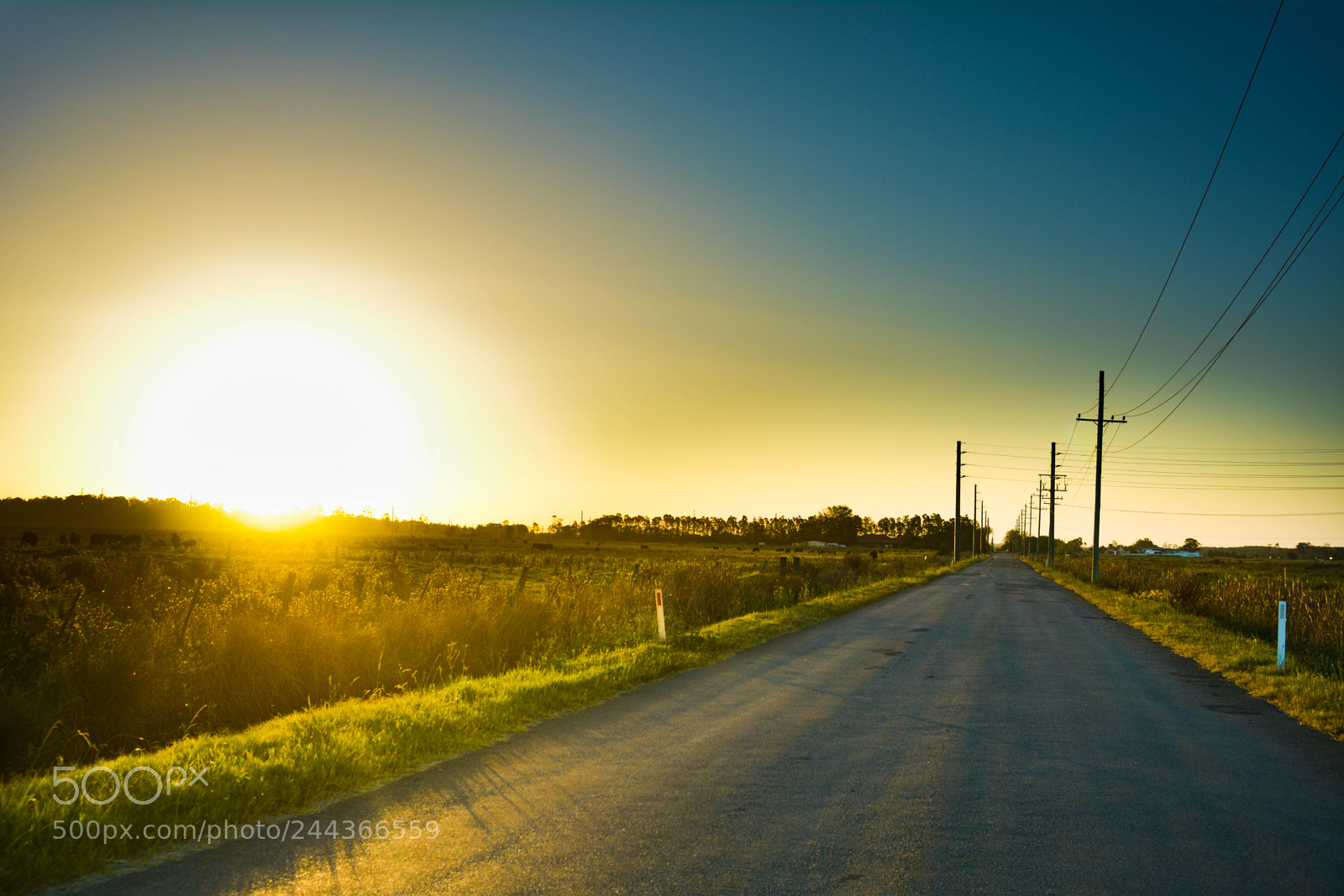 Nikon D7100 sample photo. Sundown photography