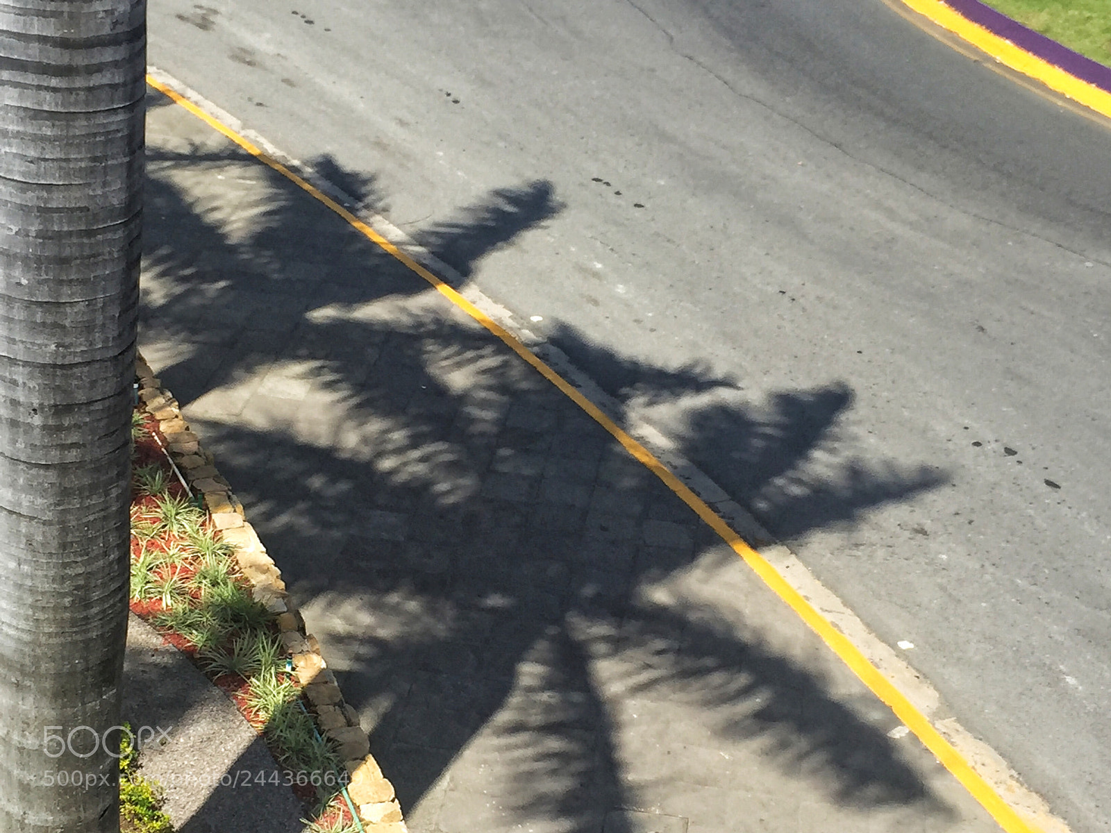 Apple iPhone 6 sample photo. Untitled photography