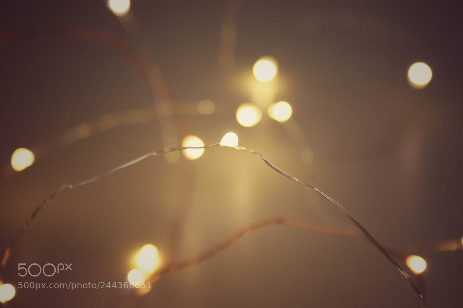 Sony Alpha DSLR-A350 sample photo. Untitled photography