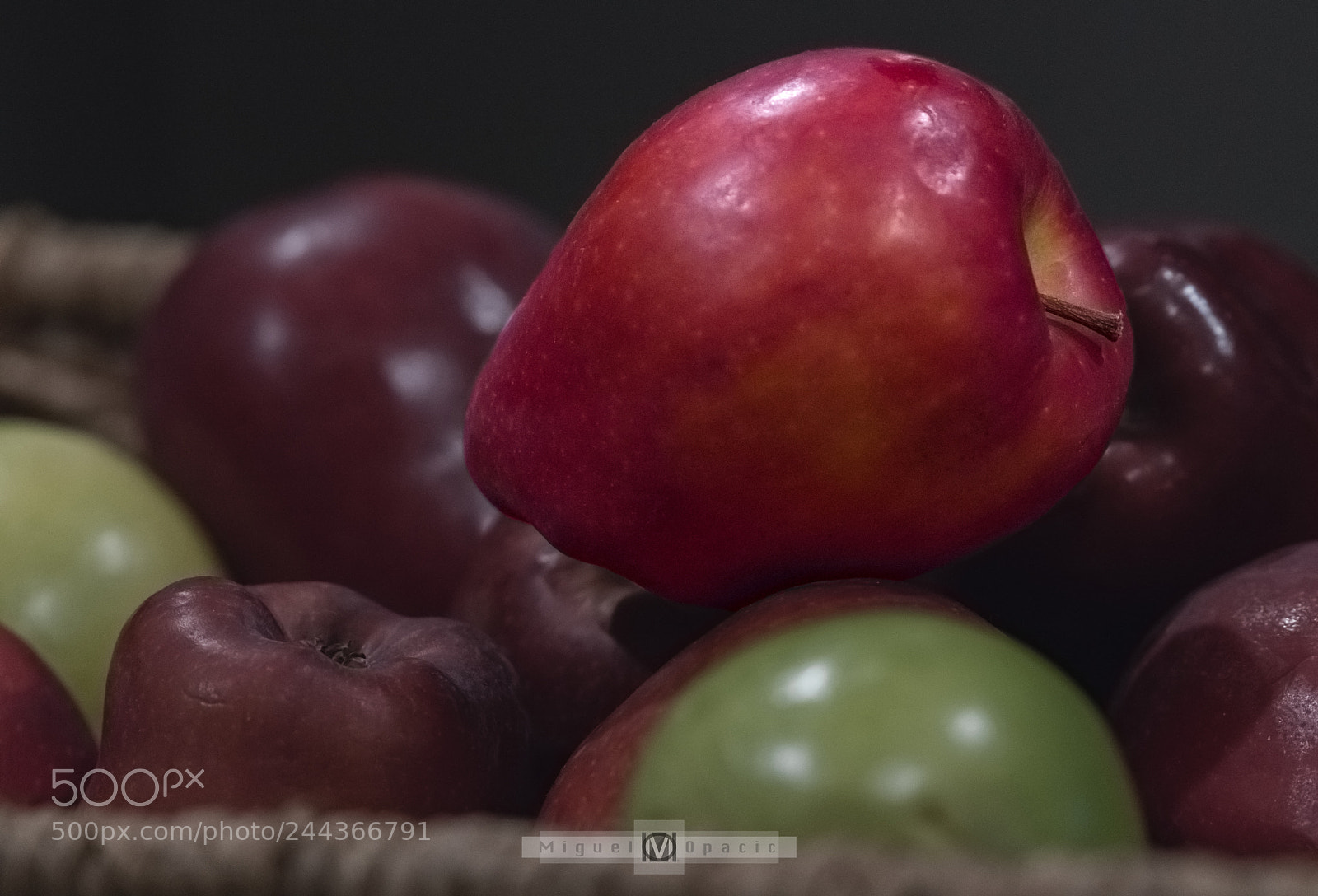 Nikon D850 sample photo. The real big apple photography