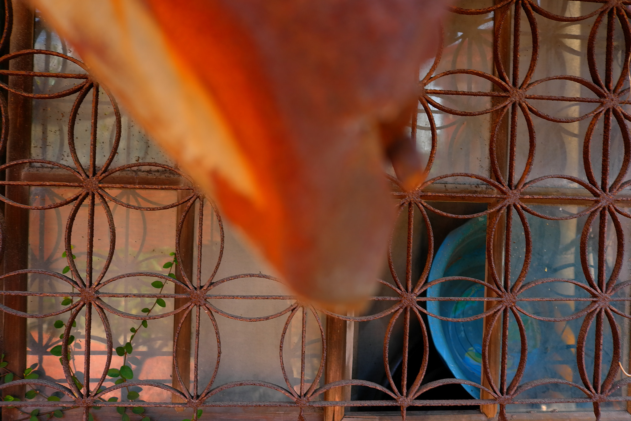 Leica X1 sample photo
