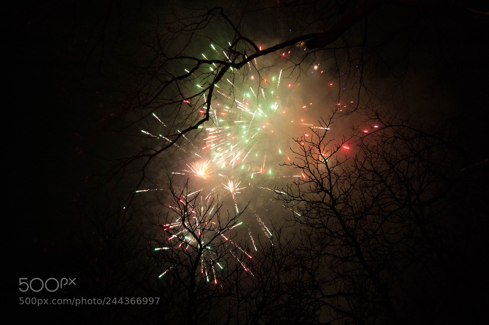 Nikon D40 sample photo. Fireworks photography