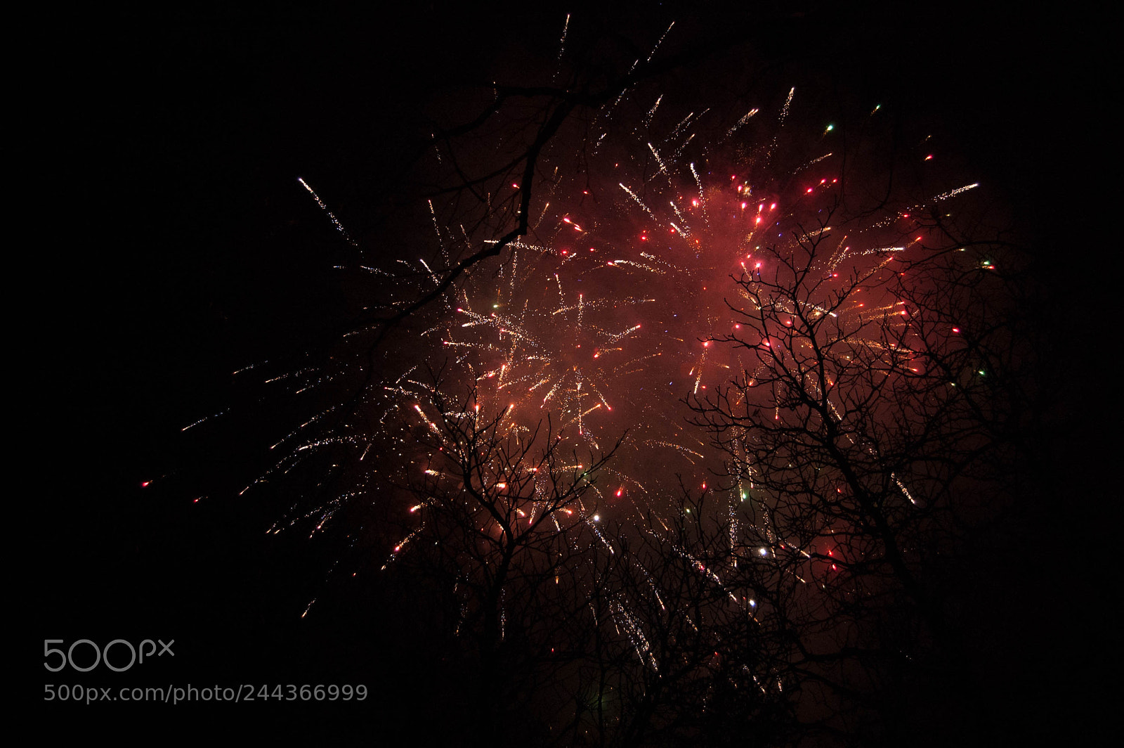 Nikon D40 sample photo. Fireworks photography