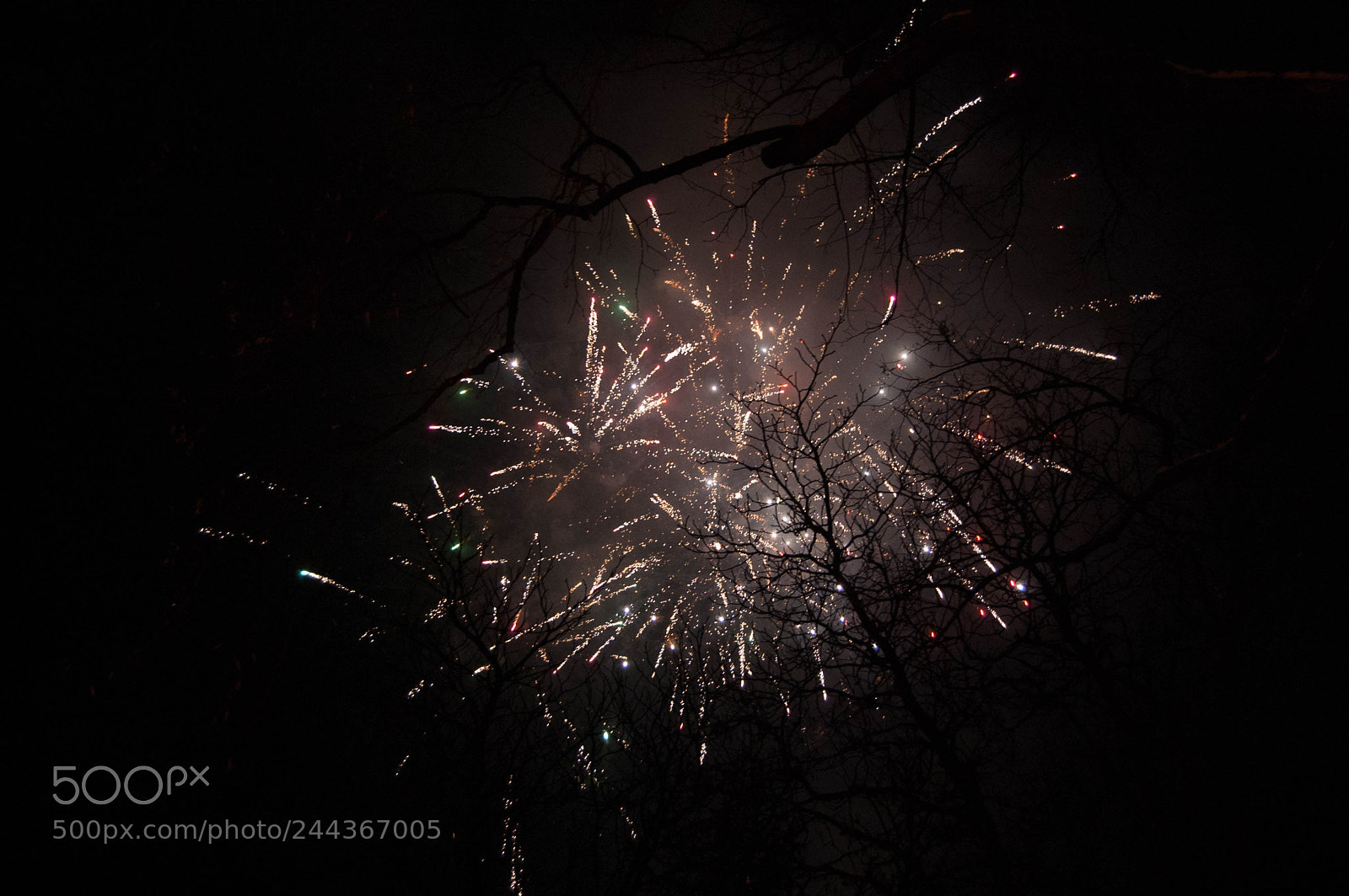 Nikon D40 sample photo. Fireworks photography