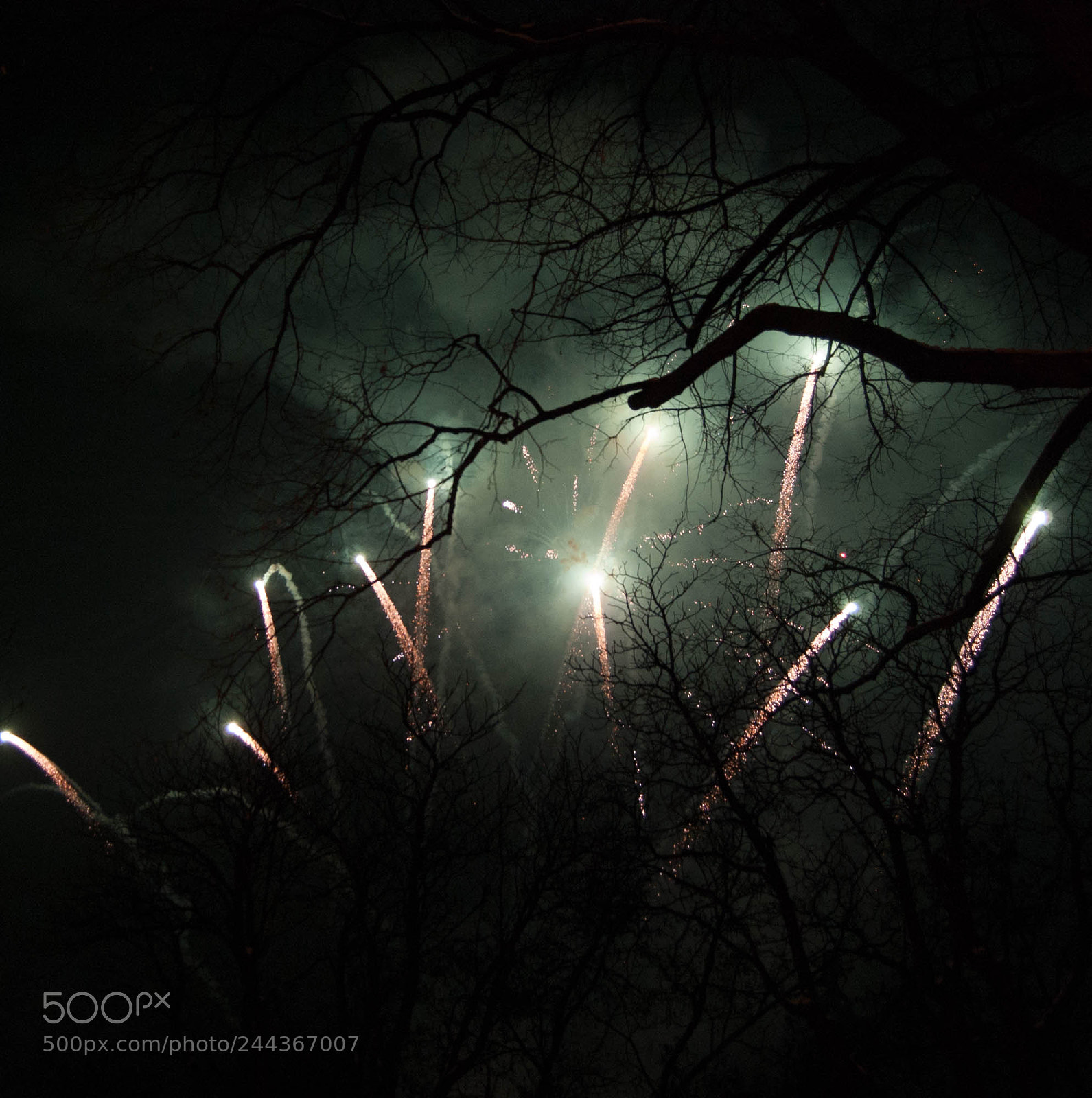 Nikon D40 sample photo. Fireworks photography