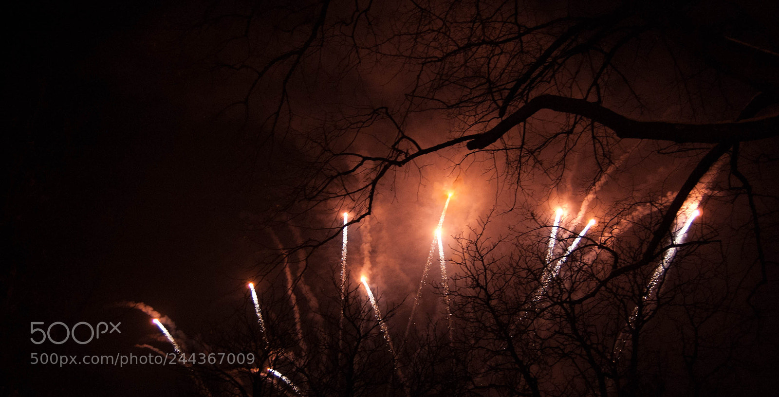 Nikon D40 sample photo. Fireworks photography