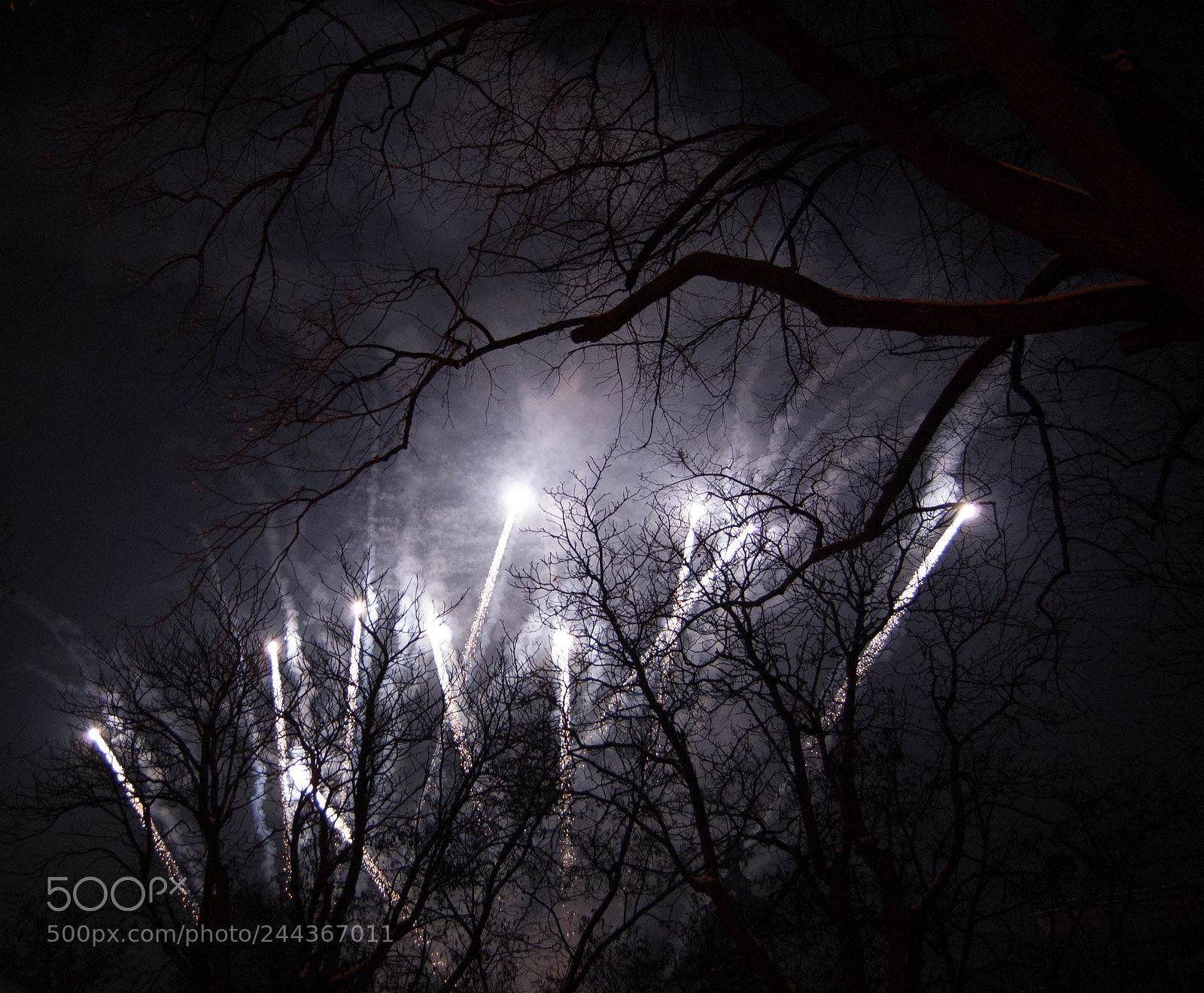 Nikon D40 sample photo. Fireworks photography
