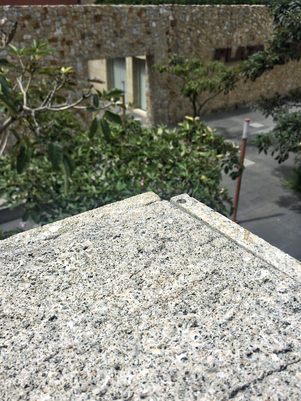 Apple iPhone 6 sample photo. Untitled photography