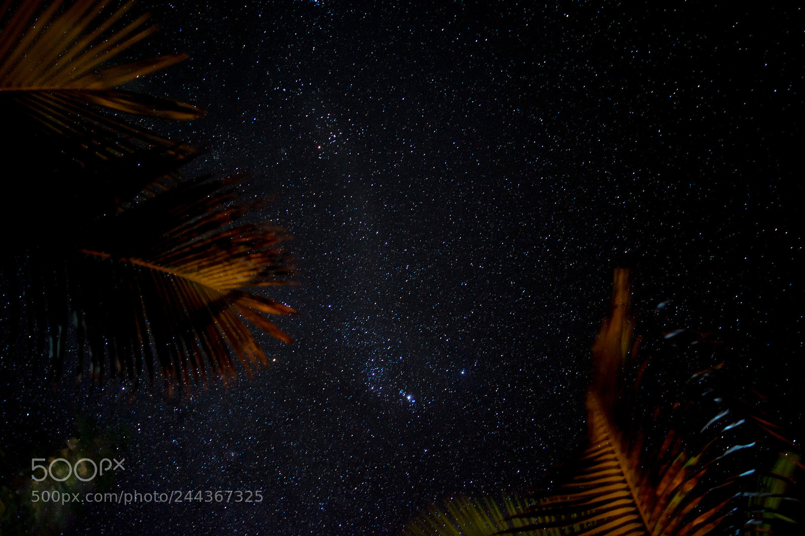 Nikon D7200 sample photo. Under the stars and photography