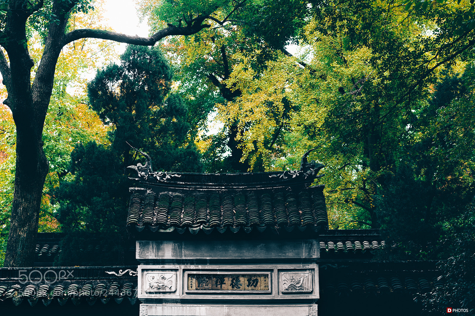 Sony a7R II sample photo. The old building photography