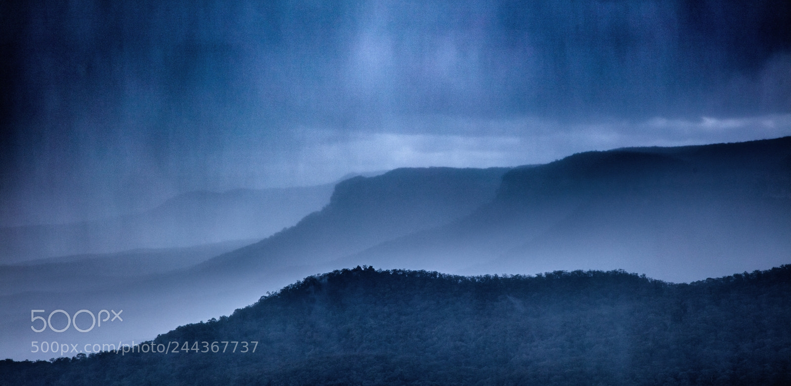 Canon EOS 5DS R sample photo. Blue veil photography