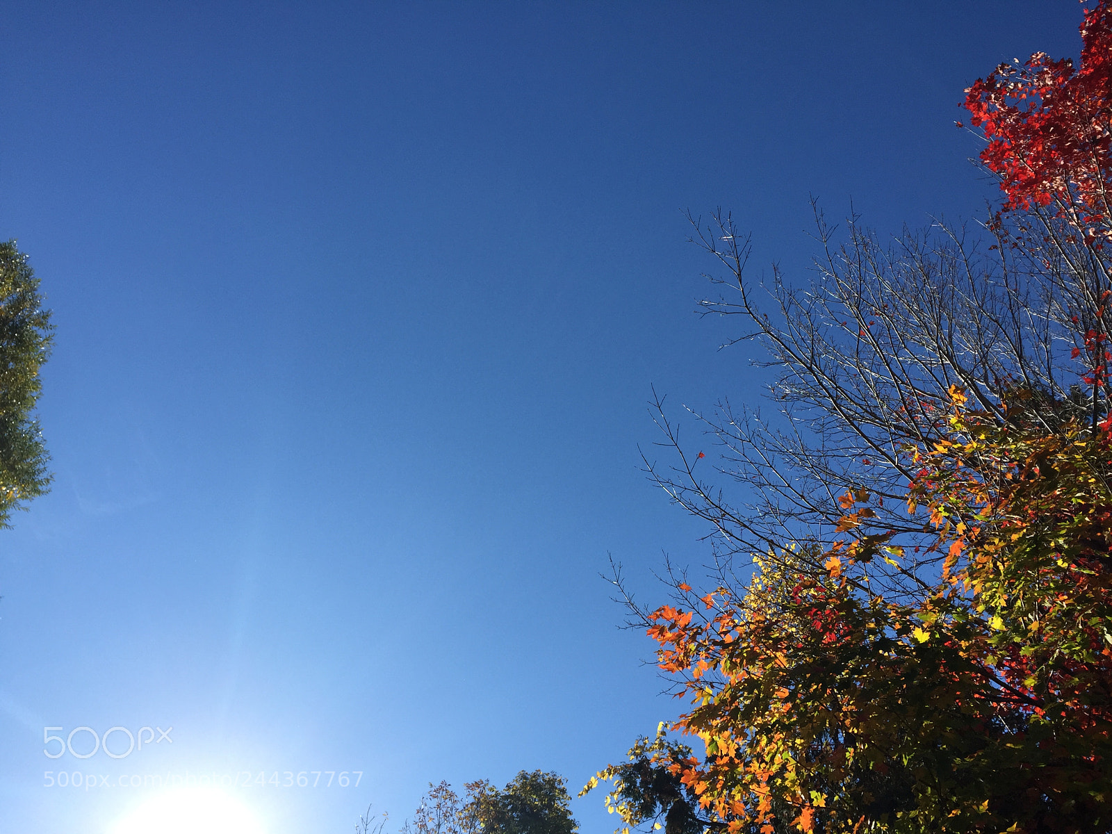 Apple iPhone 6 sample photo. Untitled photography
