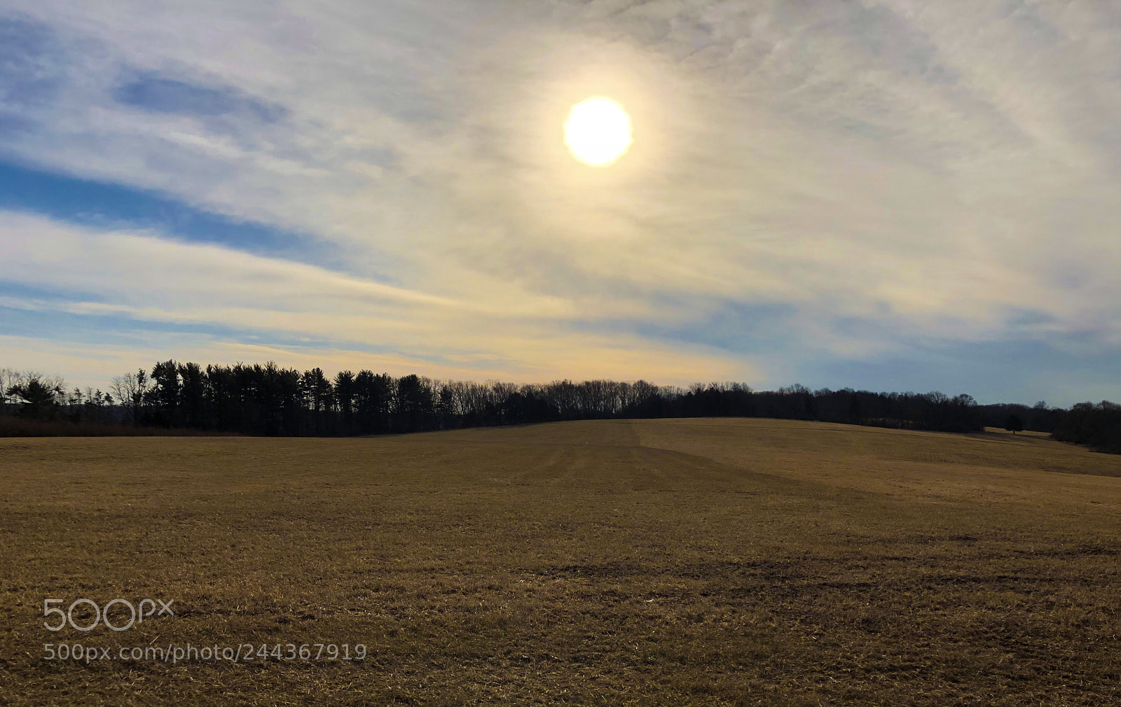 Apple iPhone 8 Plus sample photo. Afternoon winter sun photography