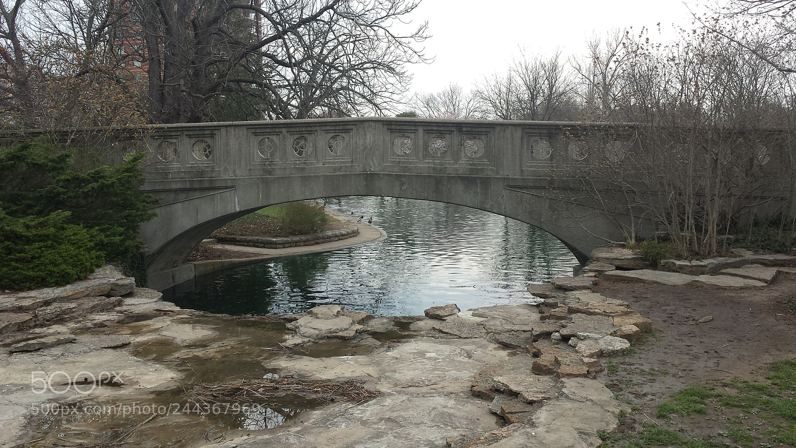 Samsung Galaxy S4 sample photo. Bridge photography