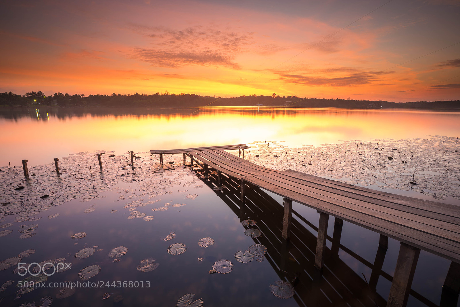 Sony a7 II sample photo. Lake buatan photography