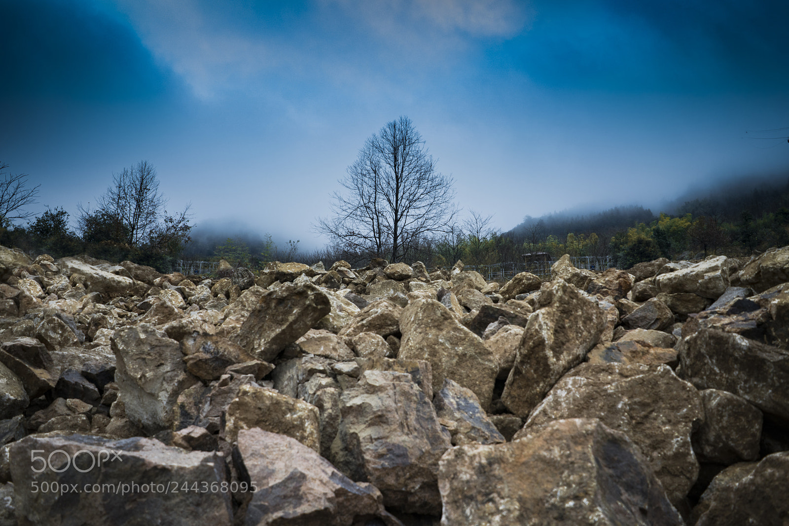 Sony a7R II sample photo. Lonely cyan photography