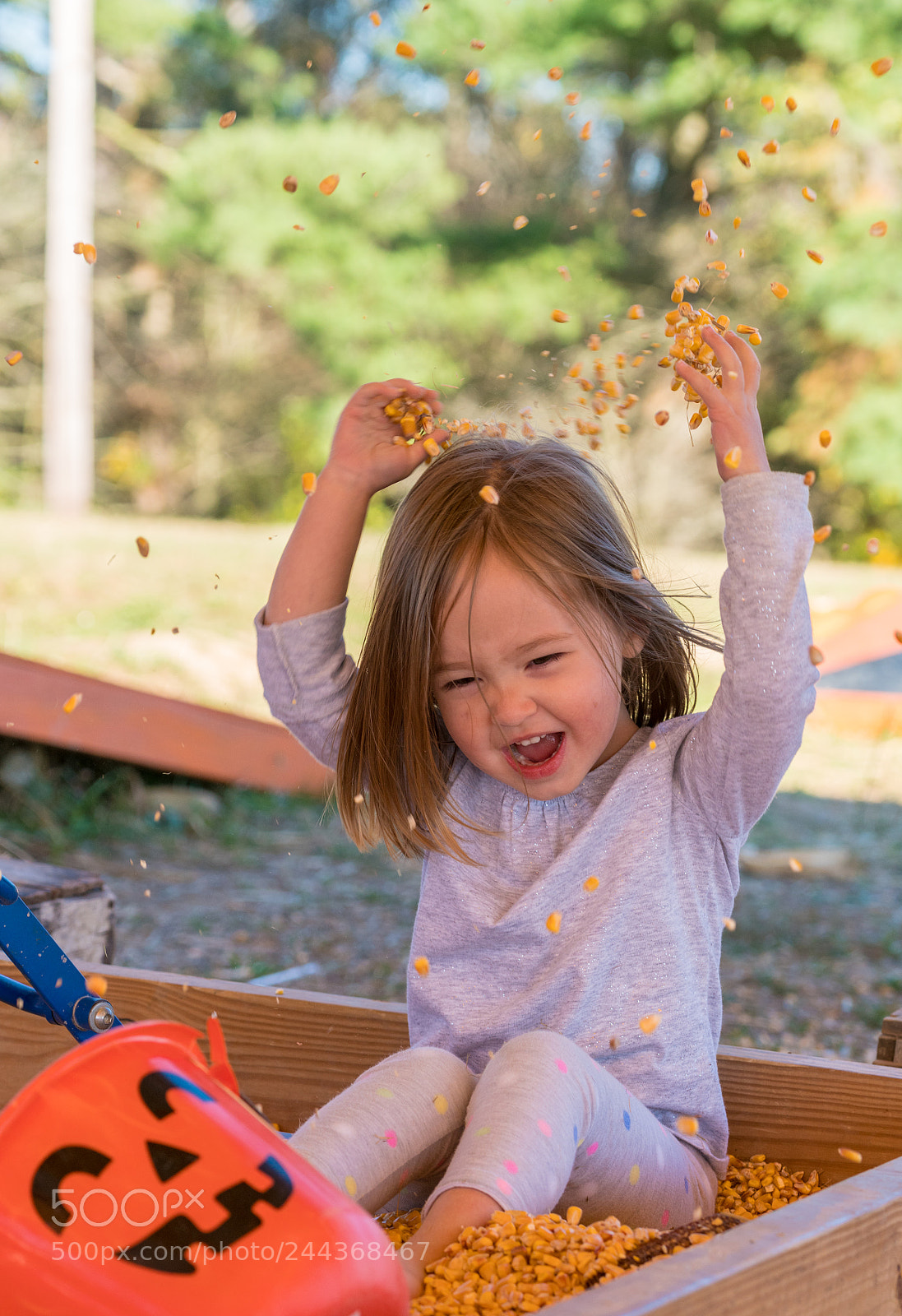 Sony a7R II sample photo. Young girl playing in photography
