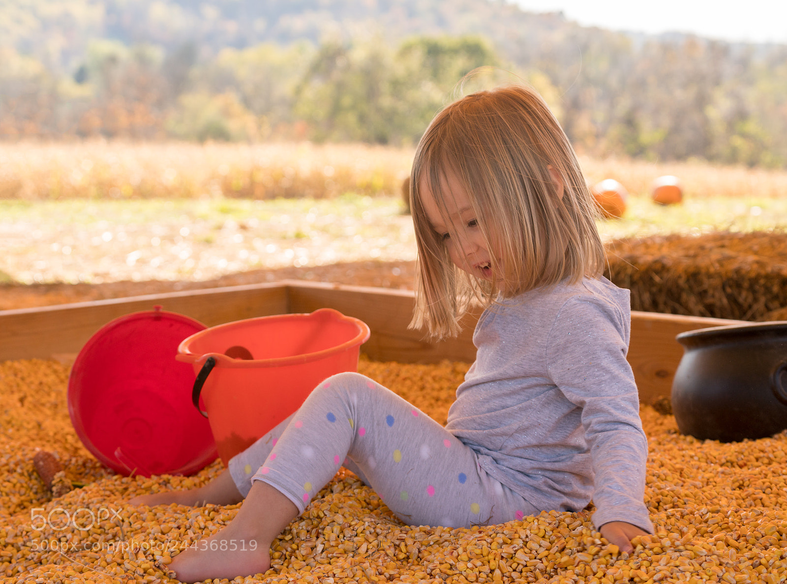 Sony a7R II sample photo. Young girl playing in photography