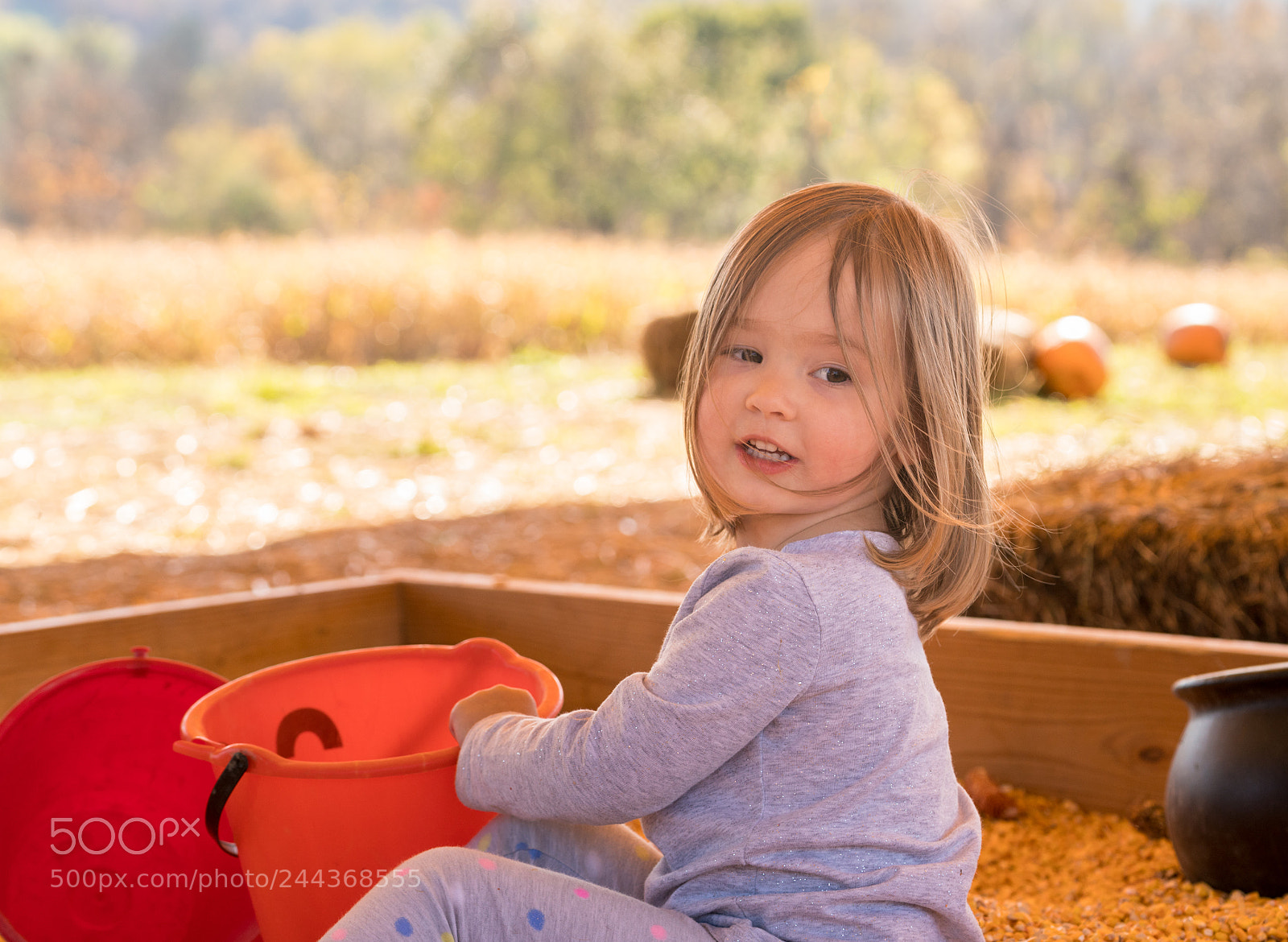 Sony a7R II sample photo. Young girl playing in photography