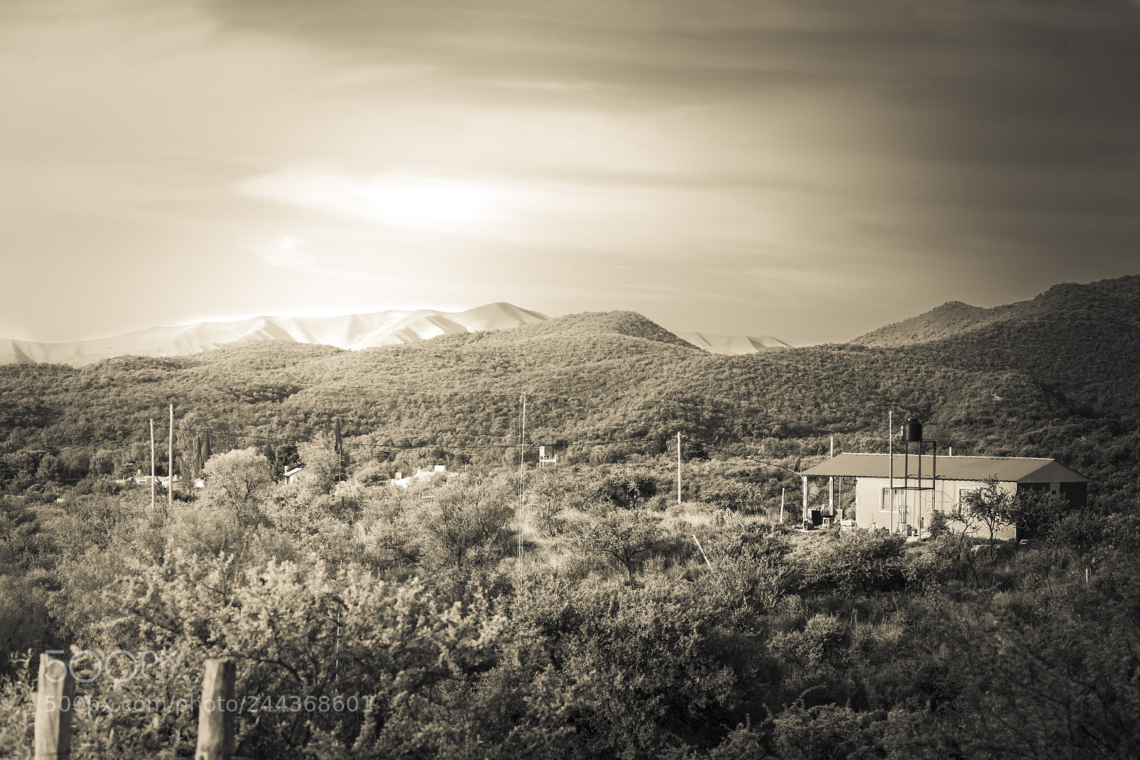 Sony a7R II sample photo. San marcos photography