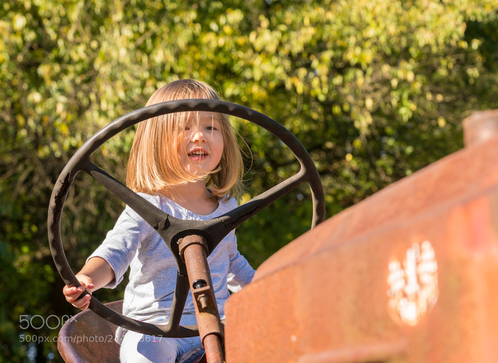 Sony a7R II sample photo. Young girl driving an photography