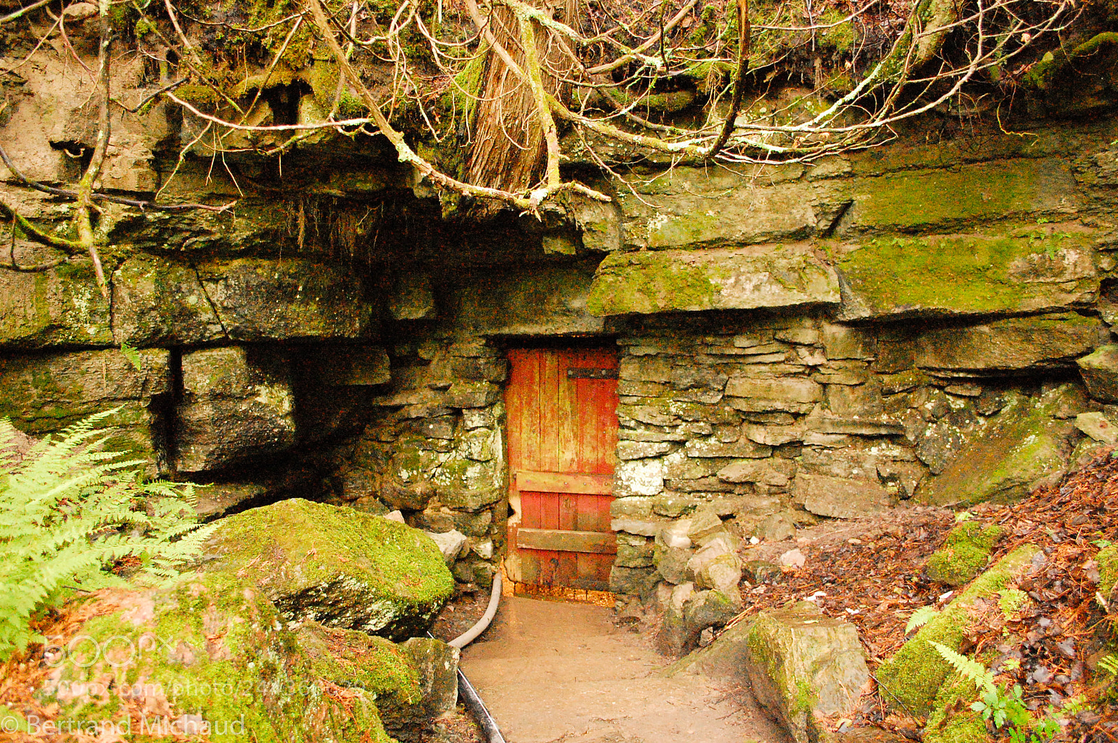Nikon D40 sample photo. Red door to bonnechere photography