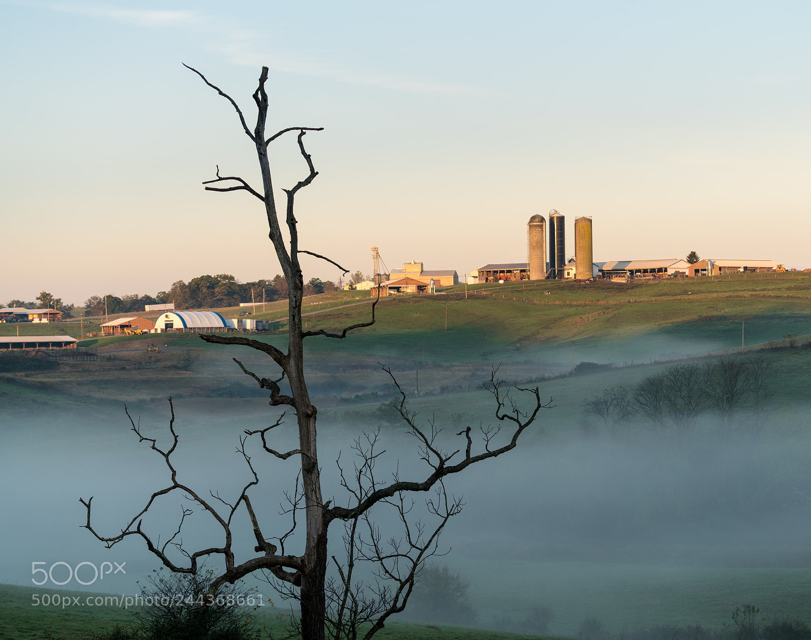 Sony a7R II sample photo. Dead tree frames wvu photography
