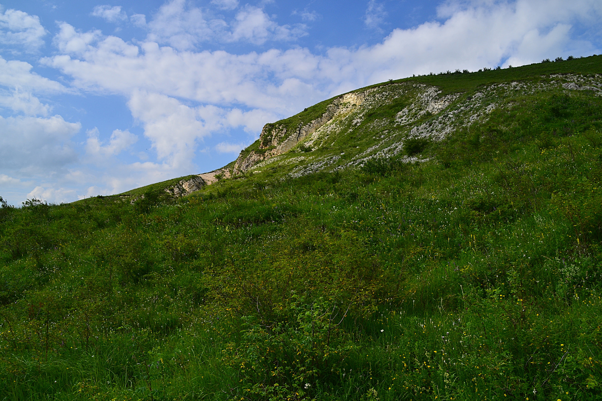 Nikon D3100 sample photo. Limestone wave photography