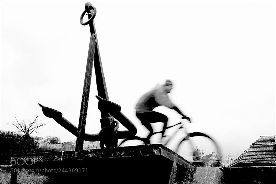 Nikon D610 sample photo. Study of movement and photography