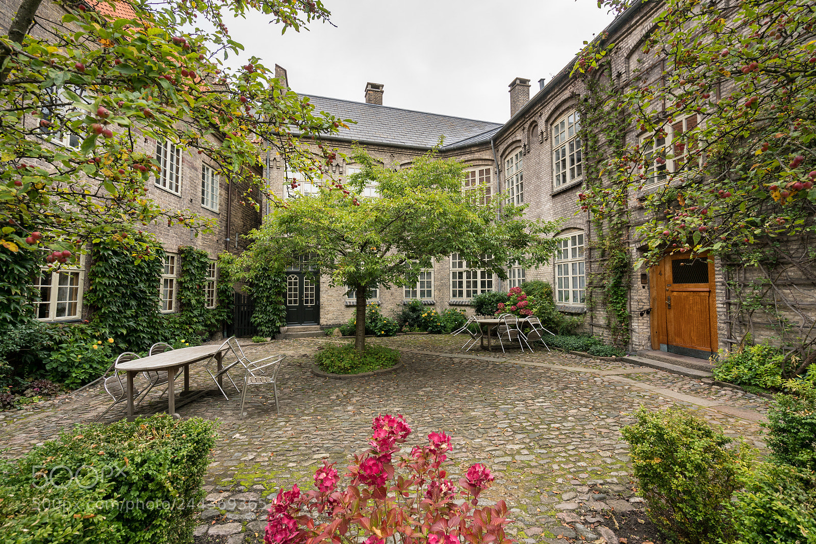 Sony a7R II sample photo. Hospital of the holy photography