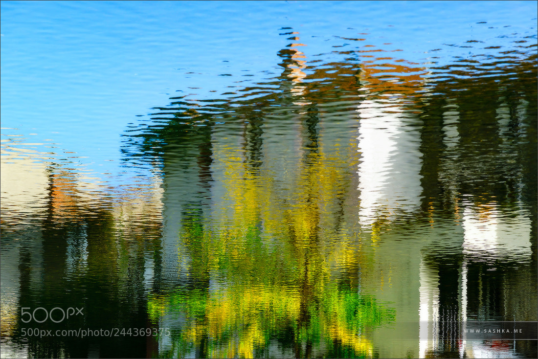 Sony Alpha a99 sample photo. Colorful houses reflecting in photography