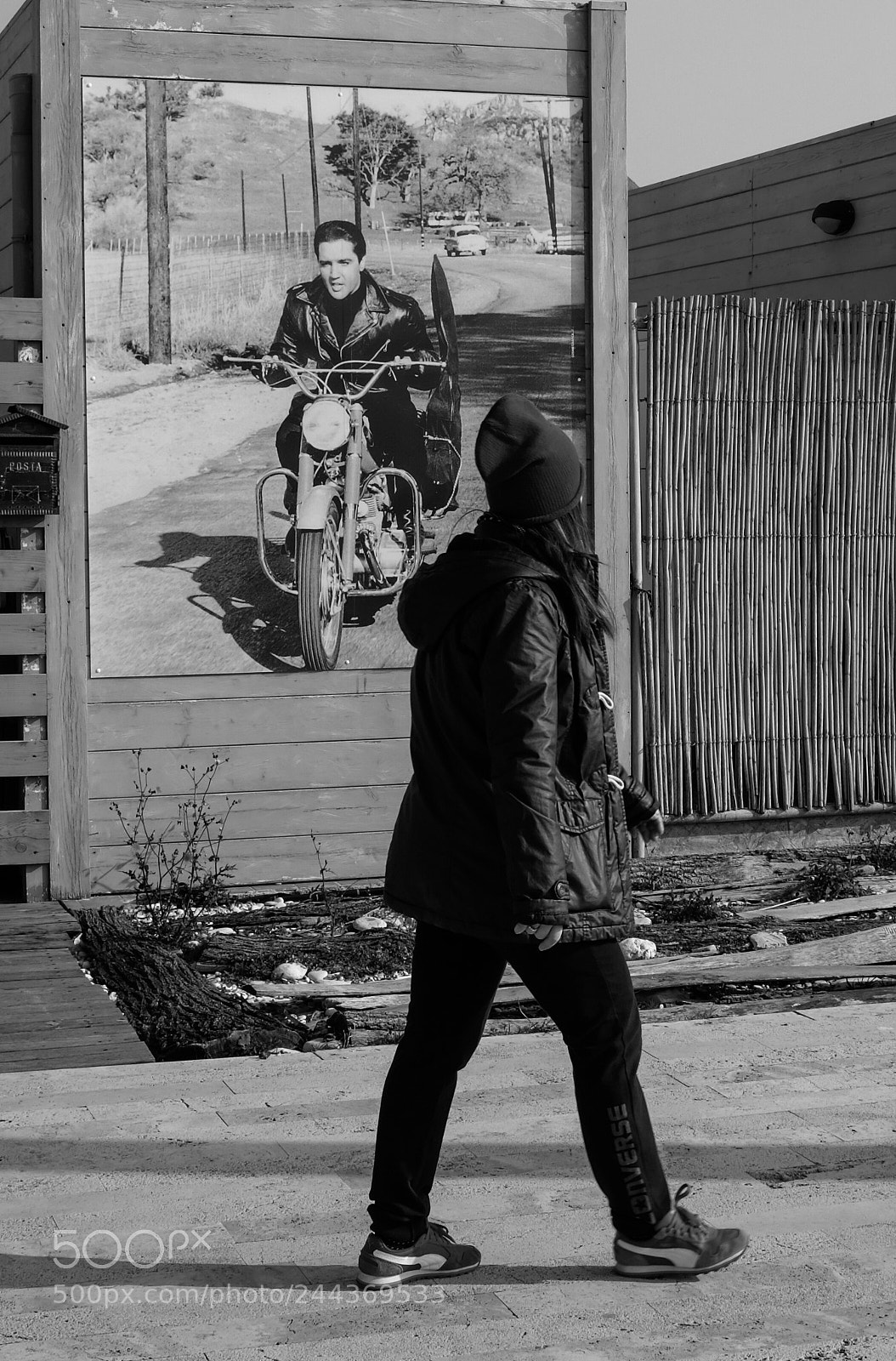Fujifilm X100F sample photo. The king photography