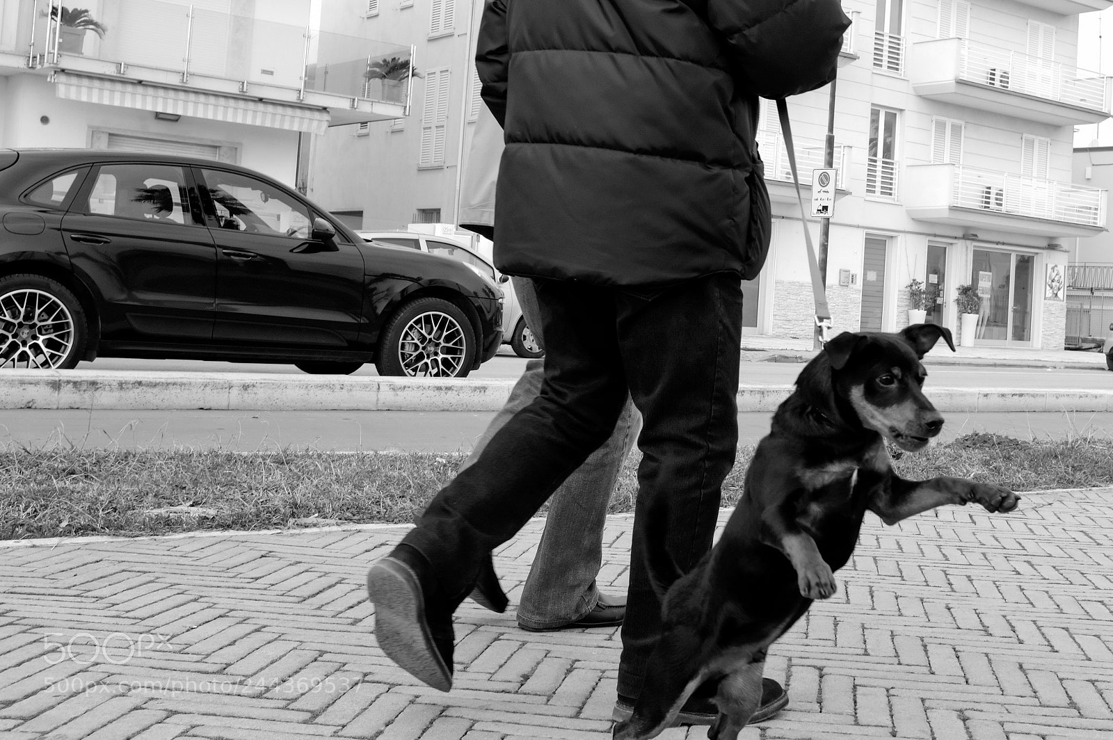 Fujifilm X100F sample photo. Grrrrr photography