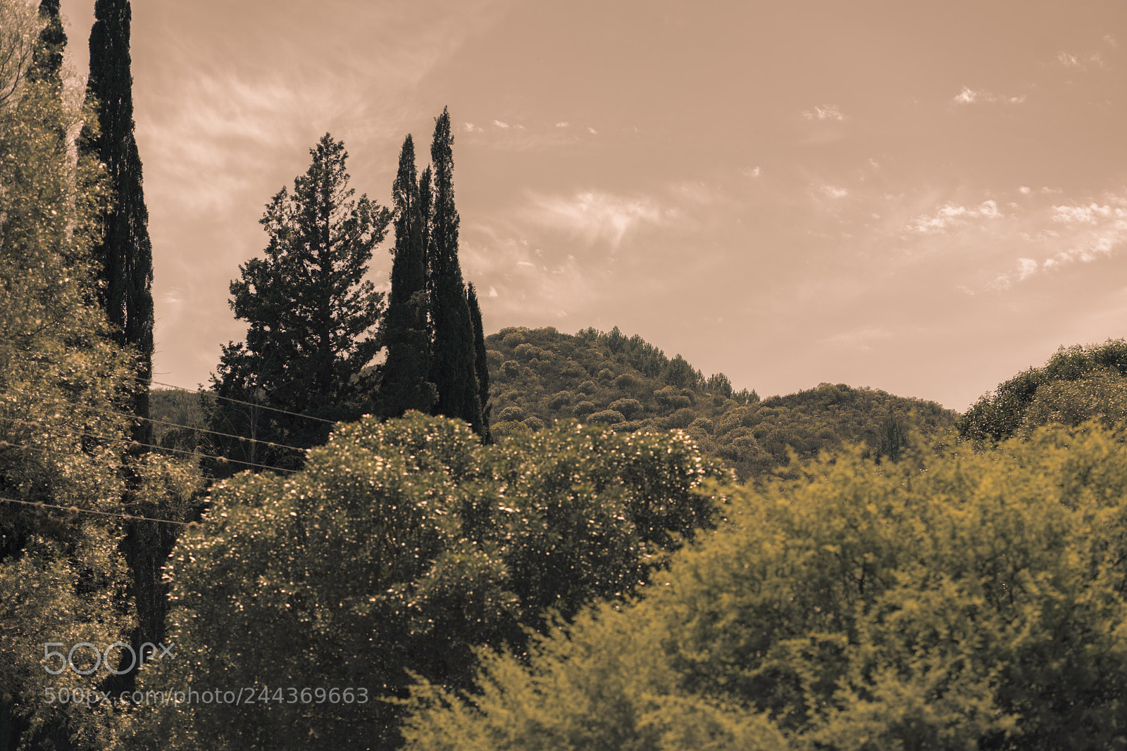 Sony a7R II sample photo. San marcos ll photography