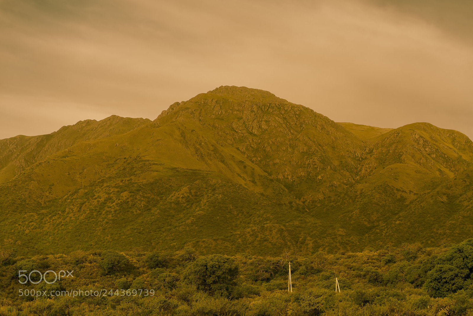 Sony a7R II sample photo. Uritorco photography